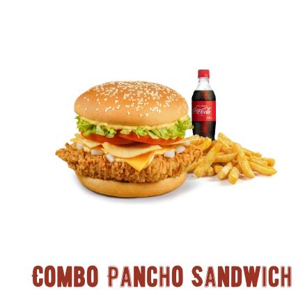 Combo pancho sandwich