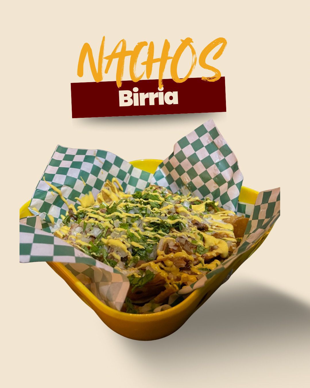 Nachos birria